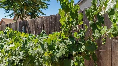 247 I St, Turlock, CA 95380 photo 43