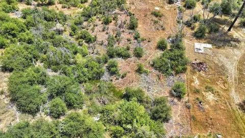 205 Maple Ln, Oroville, CA 95966 photo 6