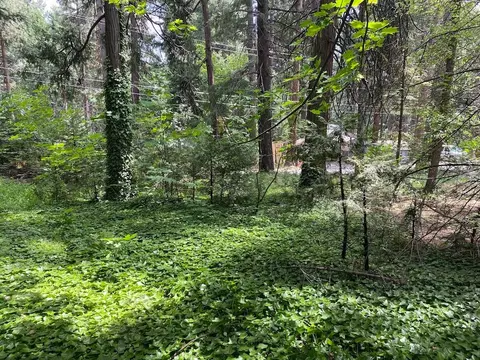 3045 Midway Ave, Pollock Pines, CA 95726 photo 5