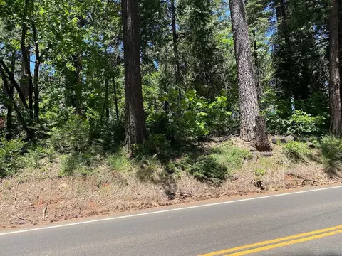 3045 Midway Ave, Pollock Pines, CA 95726 photo 4