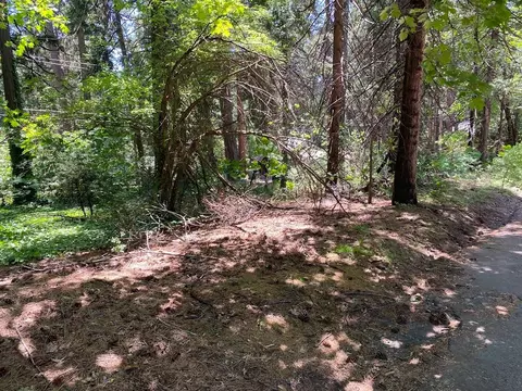 3045 Midway Ave, Pollock Pines, CA 95726 photo 2
