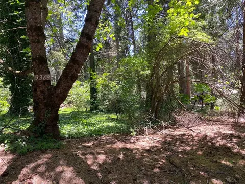 3045 Midway Ave, Pollock Pines, CA 95726 photo 1