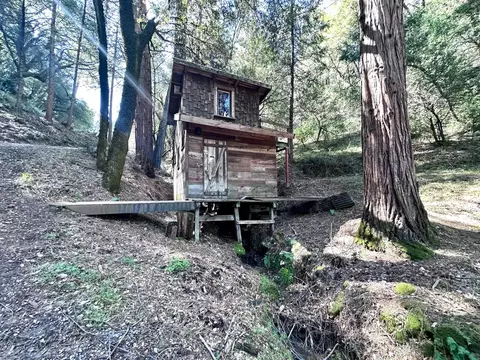Other - 17200 Hale Rd, Volcano, CA 95689 photo 6 of 6