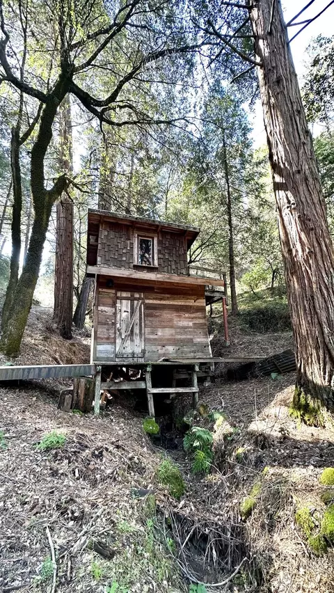 Other - 17200 Hale Rd, Volcano, CA 95689 photo 5 of 6