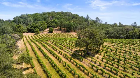 Other - 2091 Riesling Way, Placerville, CA 95667 photo 22 of 23