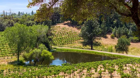 View/Area - 2091 Riesling Way, Placerville, CA 95667 photo 21 of 21