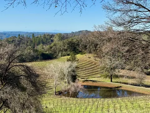 View/Area - 2091 Riesling Way, Placerville, CA 95667 photo 16 of 21