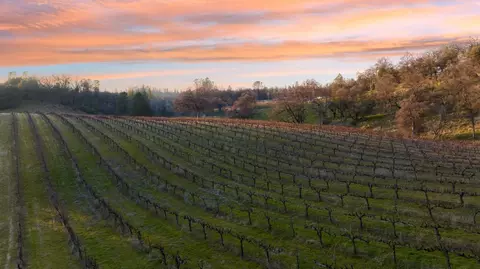 Other - 2091 Riesling Way, Placerville, CA 95667 photo 17 of 23