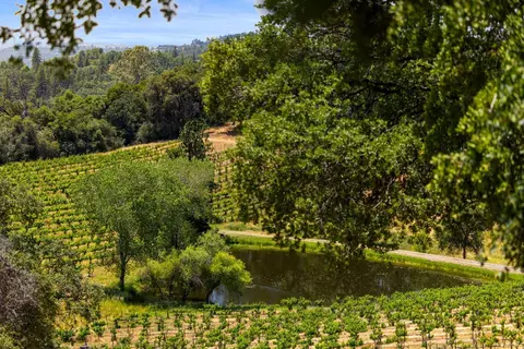 View/Area - 2091 Riesling Way, Placerville, CA 95667 photo 18 of 21