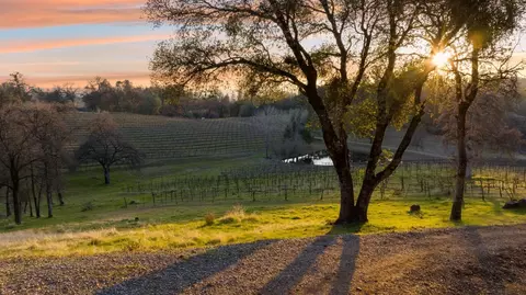 View/Area - 2091 Riesling Way, Placerville, CA 95667 photo 15 of 21