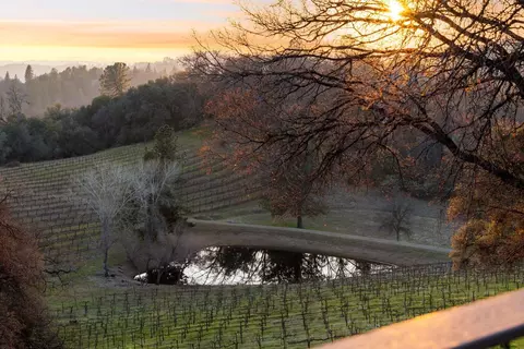 View/Area - 2091 Riesling Way, Placerville, CA 95667 photo 7 of 21