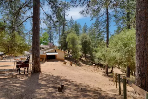 2661 Brown Bear Trl, Cool, CA 95614 photo 7