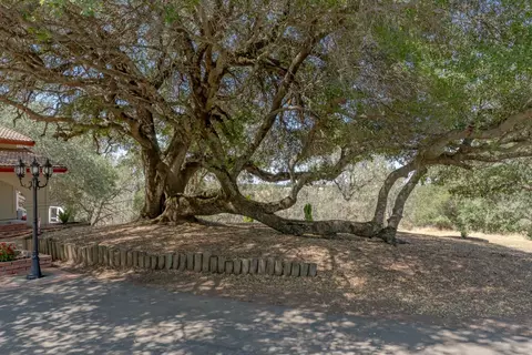 1810 Shaver Rd, Cool, CA 95614 photo 28