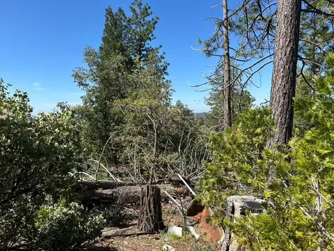 9809 Wildrose Ln, Coulterville, CA 95311