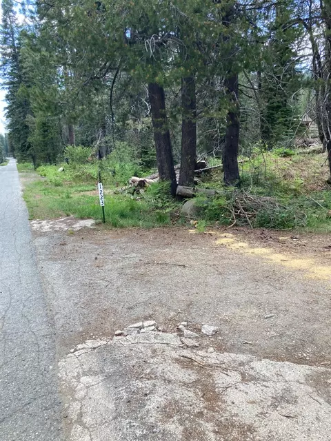 1223 Grizzly Loop, Bucks Lake, CA 95971 photo 1