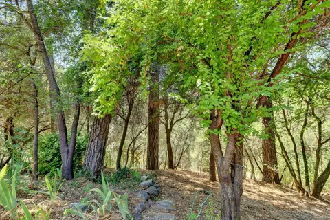 18376 Harmony Pl, Grass Valley, CA 95949 photo 45