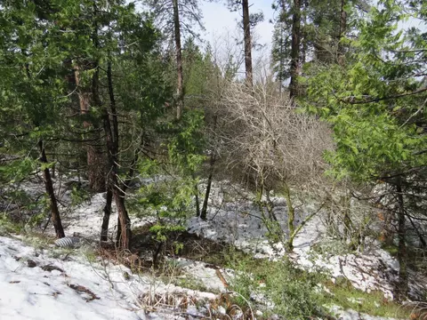 4099 E Highway 4, Murphys, CA 95247 photo 9
