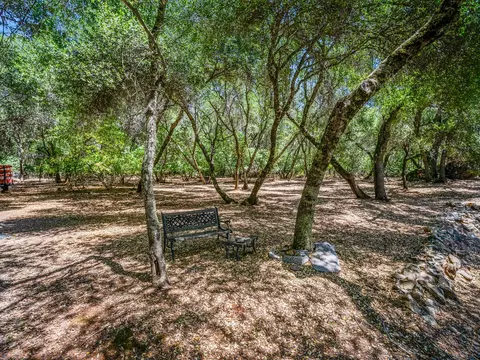4565 Fremonts Loop, Rescue, CA 95672 photo 53