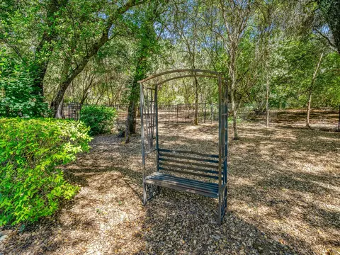 4565 Fremonts Loop, Rescue, CA 95672 photo 54