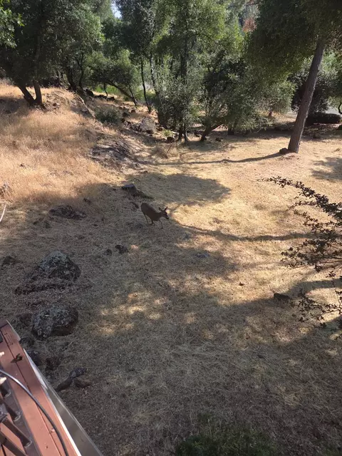 19215 Norlene Way, Grass Valley, CA 95949 photo 3