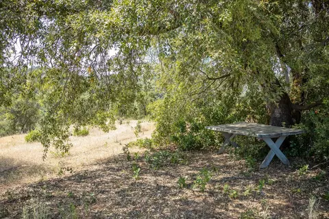 11051 Upper Previtali Rd, Jackson, CA 95642 photo 16