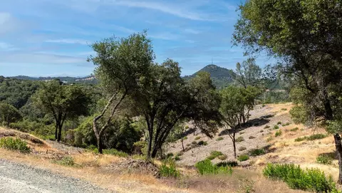 11051 Upper Previtali Rd, Jackson, CA 95642 photo 14