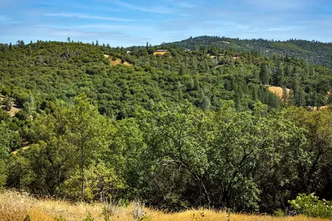 11051 Upper Previtali Rd, Jackson, CA 95642 photo 53