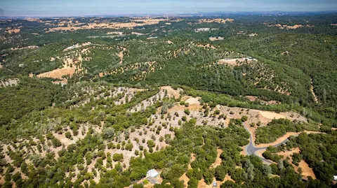 11051 Upper Previtali Rd, Jackson, CA 95642 photo 48