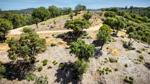 11051 Upper Previtali Rd, Jackson, CA 95642 photo 45