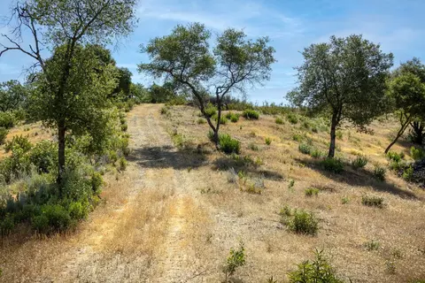11051 Upper Previtali Rd, Jackson, CA 95642 photo 17