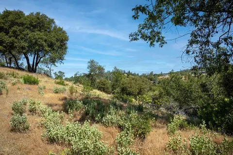 11051 Upper Previtali Rd, Jackson, CA 95642 photo 57
