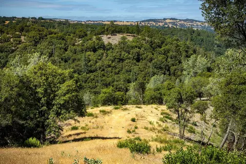 11051 Upper Previtali Rd, Jackson, CA 95642 photo 52