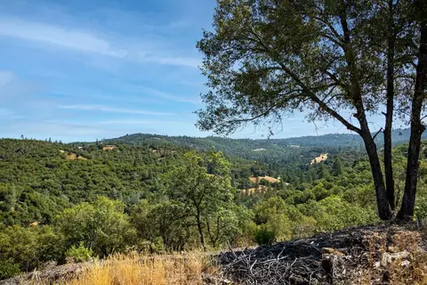11051 Upper Previtali Rd, Jackson, CA 95642 photo 37