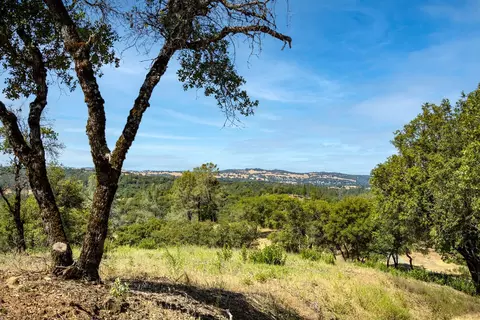 11051 Upper Previtali Rd, Jackson, CA 95642 photo 38