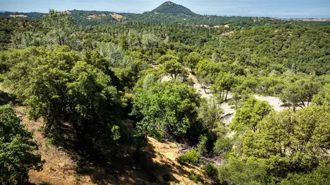 11051 Upper Previtali Rd, Jackson, CA 95642 photo 65