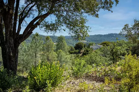 11051 Upper Previtali Rd, Jackson, CA 95642 photo 36
