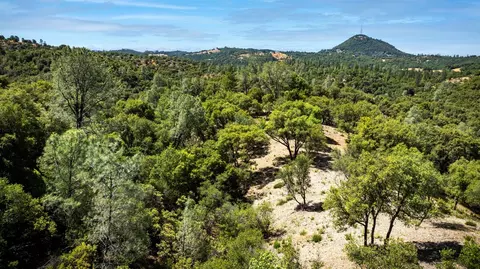 11051 Upper Previtali Rd, Jackson, CA 95642 photo 49
