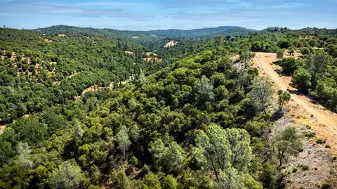 11051 Upper Previtali Rd, Jackson, CA 95642 photo 63
