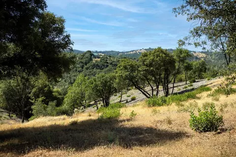 11051 Upper Previtali Rd, Jackson, CA 95642 photo 15