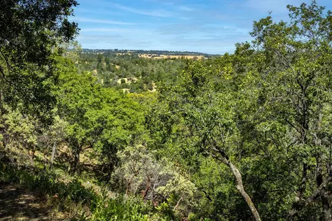 11051 Upper Previtali Rd, Jackson, CA 95642 photo 56