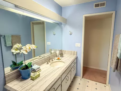 132 Luz Pl, Davis, CA 95616 photo 36