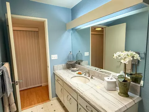132 Luz Pl, Davis, CA 95616 photo 29