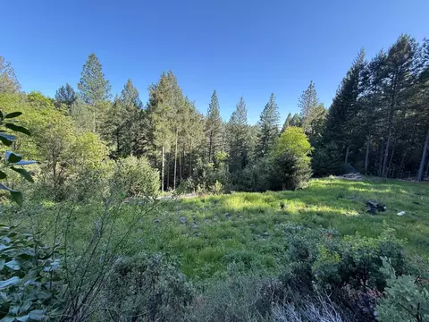 20101 Grizzly Creek Rd, Nevada City, CA 95959