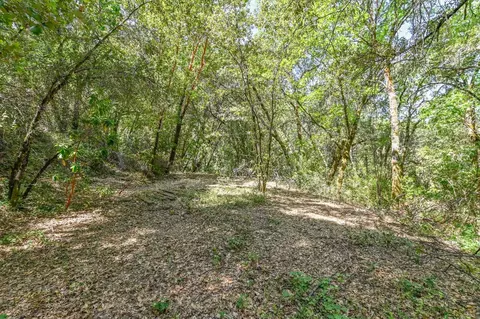 13671 Ridge Ct, Sutter Creek, CA 95685 photo 3