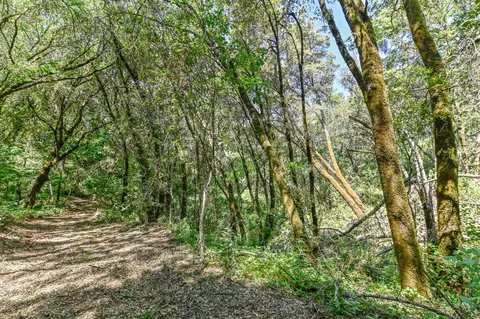 13671 Ridge Ct, Sutter Creek, CA 95685 photo 2