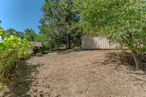 Exterior - 1355 Jackson Gate Rd, Jackson, CA 95642 photo 23 of 30