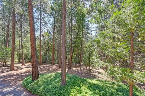 5351 Reservoir Rd, Georgetown, CA 95634 photo 36