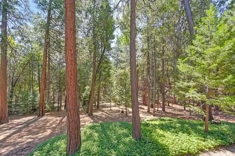 5351 Reservoir Rd, Georgetown, CA 95634 photo 39