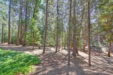 5351 Reservoir Rd, Georgetown, CA 95634 photo 40
