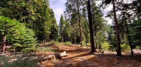 0 Buckthorne Ln, Nevada City, CA 95959